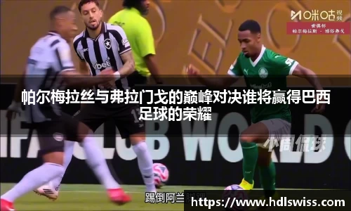 帕尔梅拉丝与弗拉门戈的巅峰对决谁将赢得巴西足球的荣耀